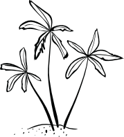 Downwindtrips on the coastline of Albania