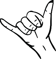 start kiting and enjoy those windy days